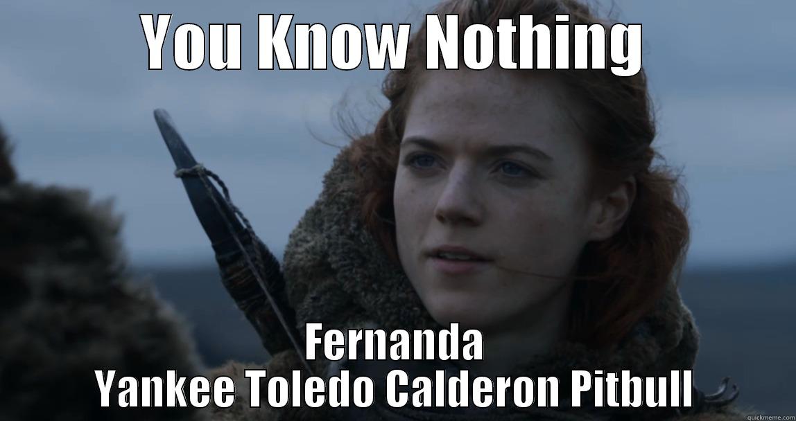 YOU KNOW NOTHING FERNANDA YANKEE TOLEDO CALDERON PITBULL Misc