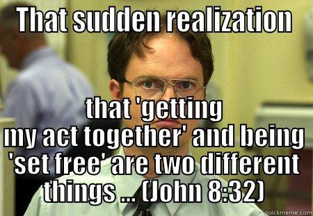 Spiritual Awakening - THAT SUDDEN REALIZATION THAT 'GETTING MY ACT TOGETHER' AND BEING 'SET FREE' ARE TWO DIFFERENT THINGS ... (JOHN 8:32) Schrute