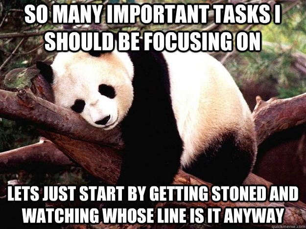 SO MANY IMPORTANT TASKS I SHOULD BE FOCUSING ON LETS JUST START BY GETTING STONED AND WATCHING WHOSE LINE IS IT ANYWAY  Procrastination Panda