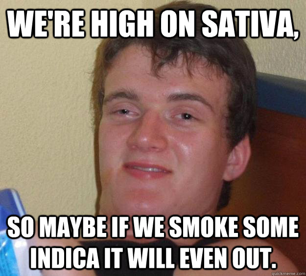 we're high on sativa, so maybe if we smoke some indica it will even out. - we're high on sativa, so maybe if we smoke some indica it will even out.  10 Guy