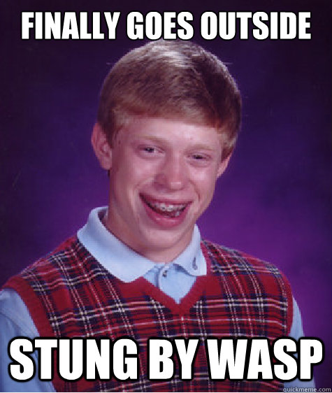 finally goes outside stung by wasp  Bad Luck Brian