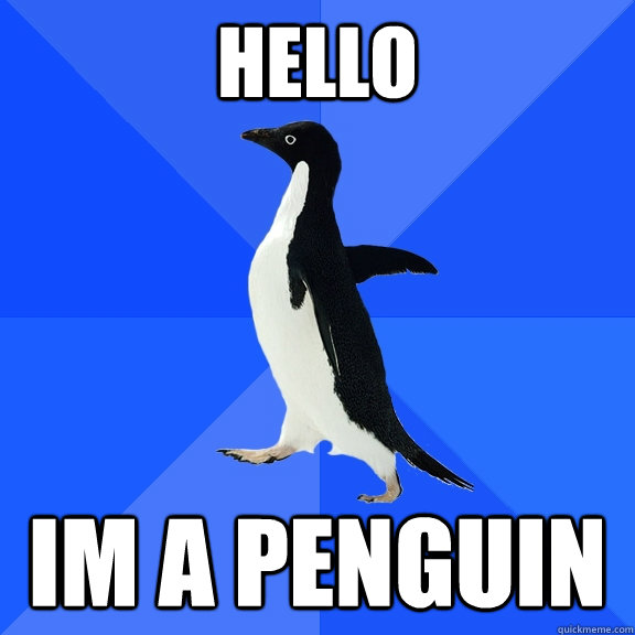 hello im a penguin - hello im a penguin  Socially Awkward Penguin