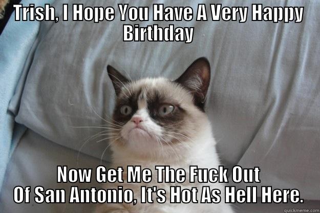 TRISH, I HOPE YOU HAVE A VERY HAPPY BIRTHDAY NOW GET ME THE FUCK OUT OF SAN ANTONIO, IT'S HOT AS HELL HERE. Grumpy Cat