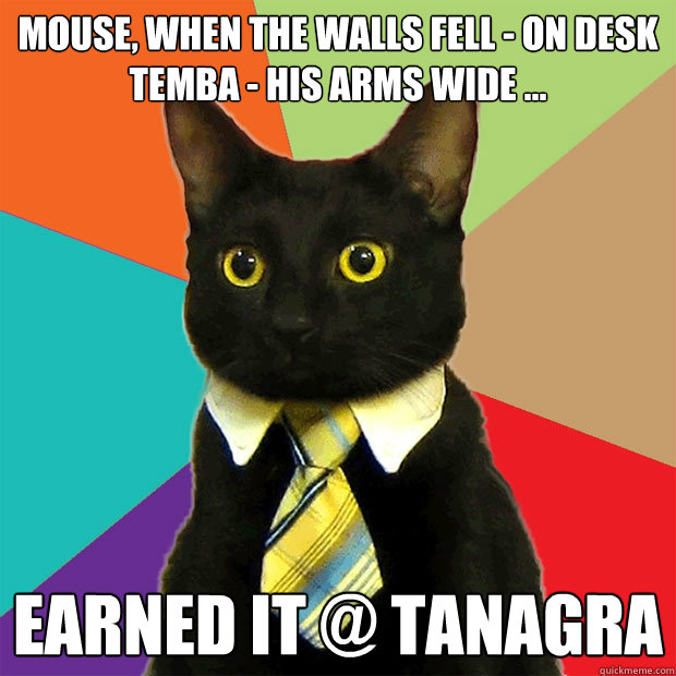 mouse, when the walls fell - On Desk
Temba - his arms wide ... earned it @ TANAGRA  Business Cat