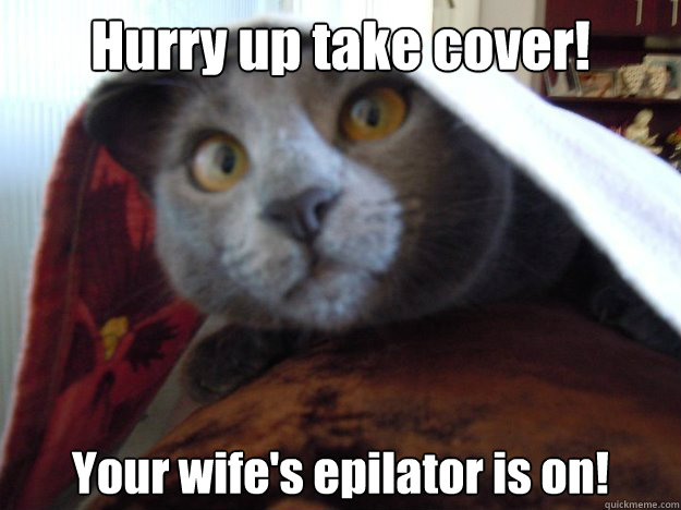 Hurry up take cover! Your wife's epilator is on! - Hurry up take cover! Your wife's epilator is on!  Fear of the Epilator