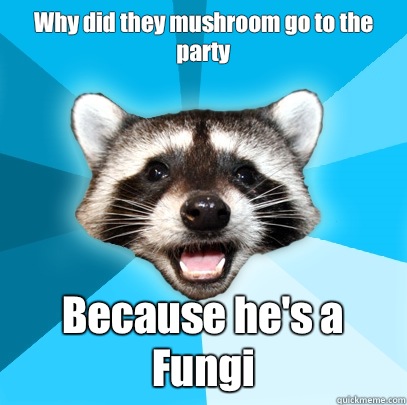 Why did they mushroom go to the party
 Because he's a Fungi - Why did they mushroom go to the party
 Because he's a Fungi  Lame Pun Coon