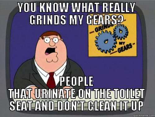 Scumbag bathroom users - YOU KNOW WHAT REALLY GRINDS MY GEARS? PEOPLE THAT URINATE ON THE TOILET SEAT AND DON'T CLEAN IT UP Grinds my gears