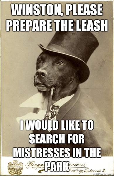 Winston, please prepare the leash i would like to search for mistresses in the park - Winston, please prepare the leash i would like to search for mistresses in the park  Old Money Dog