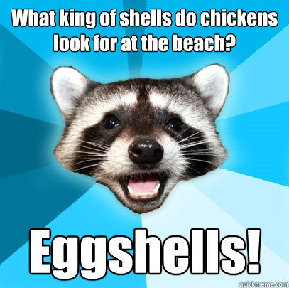 What king of shells do chickens look for at the beach? Eggshells!   Lame Pun Coon