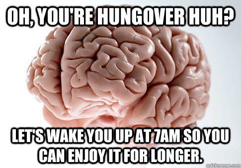 Oh, you're hungover huh? Let's wake you up at 7am so you can enjoy it for longer. - Oh, you're hungover huh? Let's wake you up at 7am so you can enjoy it for longer.  Scumbag Brain