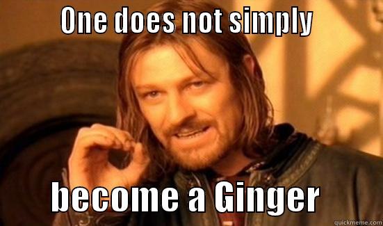         ONE DOES NOT SIMPLY                  BECOME A GINGER         Boromir