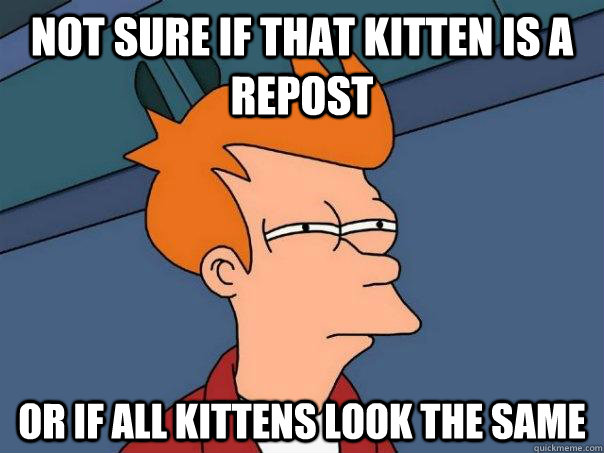 Not sure if that kitten is a repost Or if all kittens look the same  Futurama Fry