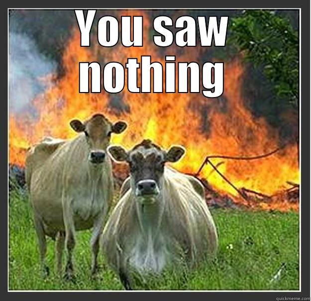 YOU SAW NOTHING  Evil cows