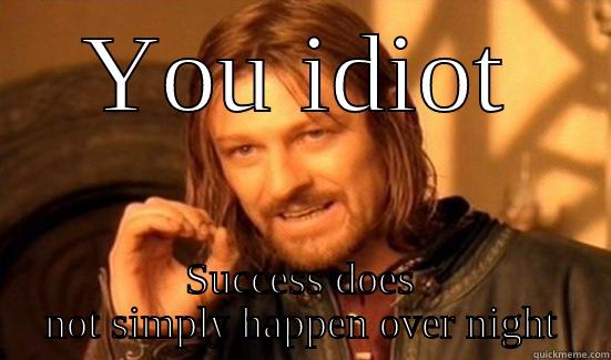 Success Meme 1 - YOU IDIOT SUCCESS DOES NOT SIMPLY HAPPEN OVER NIGHT Boromir