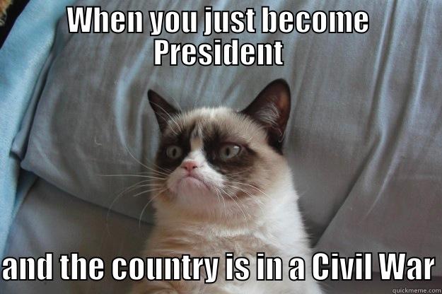 WHEN YOU JUST BECOME PRESIDENT AND THE COUNTRY IS IN A CIVIL WAR Grumpy Cat