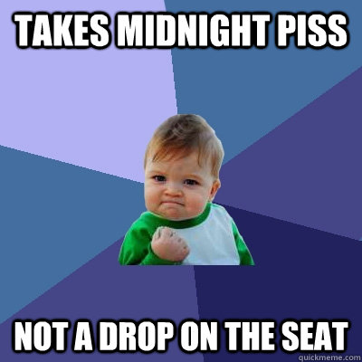 TAKES MIDNIGHT PISS NOT A DROP ON THE SEAT  Success Kid