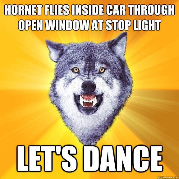 Hornet Flies inside car through open window at stop light let's dance  