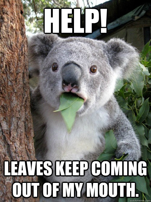 Help! Leaves keep coming out of my mouth. - Help! Leaves keep coming out of my mouth.  koala bear