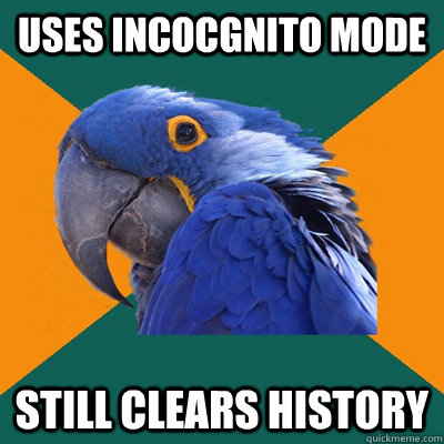 Uses incocgnito mode Still clears history  Paranoid Parrot