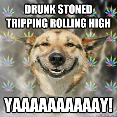 Drunk stoned tripping rolling high yaaaaaaaaaay!  Stoner Dog