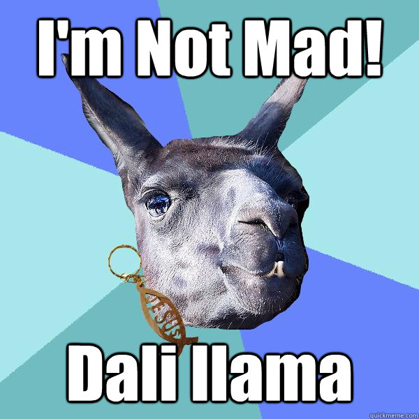 I'm Not Mad! Dali llama  Christian Mama Llama