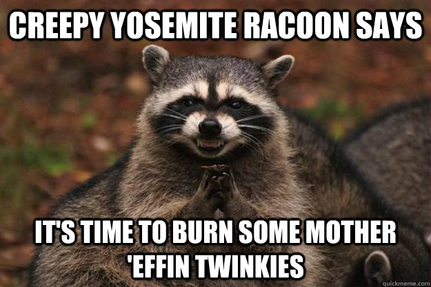 Creepy yosemite racoon says It's time to burn some mother 'effin twinkies  - Creepy yosemite racoon says It's time to burn some mother 'effin twinkies   Evil Plotting Raccoon