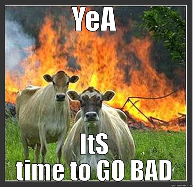 YEA ITS TIME TO GO BAD Evil cows