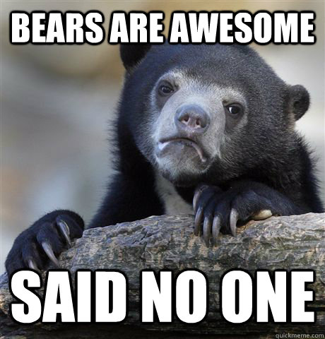 bears are awesome  said no one  Confession Bear