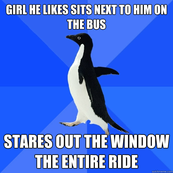 Girl he likes sits next to him on the bus Stares out the window the entire ride  Socially Awkward Penguin