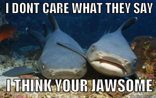 TOALLY AWSOME -   I DONT CARE WHAT THEY SAY     I THINK YOUR JAWSOME Compassionate Shark Friend