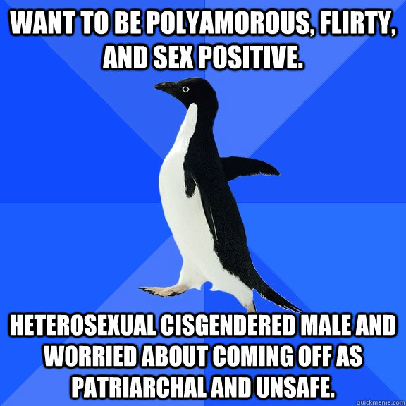 Want to be polyamorous, flirty, and sex positive. Heterosexual cisgendered male and worried about coming off as patriarchal and unsafe. - Want to be polyamorous, flirty, and sex positive. Heterosexual cisgendered male and worried about coming off as patriarchal and unsafe.  Socially Awkward Penguin