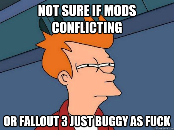 Not sure if mods conflicting or Fallout 3 just buggy as fuck  Futurama Fry