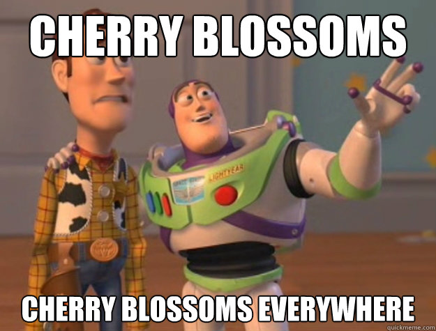 Cherry blossoms Cherry Blossoms everywhere - Cherry blossoms Cherry Blossoms everywhere  Buzz Lightyear