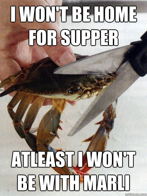 I won't be home for supper atleast i won't be with marli - I won't be home for supper atleast i won't be with marli  Optimistic Crab