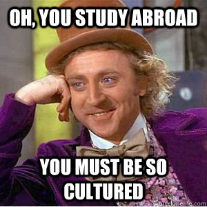 Oh, You study abroad You must be so cultured  willy wonka