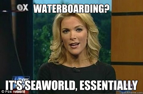 Waterboarding? It's Seaworld, essentially  Megyn Kelly