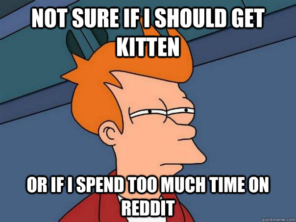 Not sure if I should get kitten or if I spend too much time on Reddit  Futurama Fry