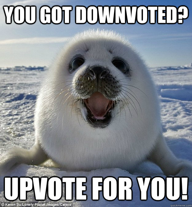You got downvoted? Upvote for you! - You got downvoted? Upvote for you!  Over Excited Seal
