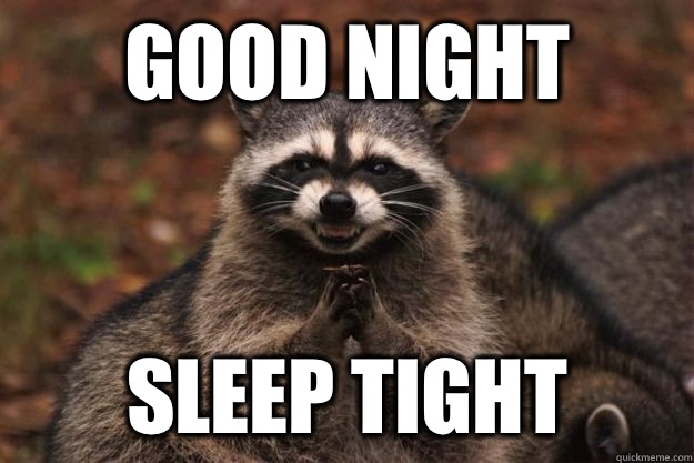 Good Night Sleep Tight  - Good Night Sleep Tight   Evil Plotting Raccoon