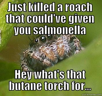 JUST KILLED A ROACH THAT COULD'VE GIVEN YOU SALMONELLA HEY WHAT'S THAT BUTANE TORCH FOR... Misunderstood Spider