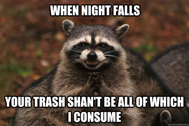 When night falls your trash shan't be all of which i consume  Evil Plotting Raccoon