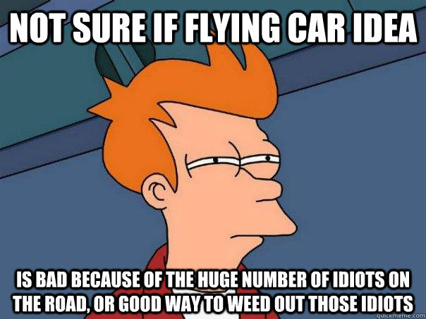 Not sure if flying car idea  is bad because of the huge number of idiots on the road, or good way to weed out those idiots  Futurama Fry