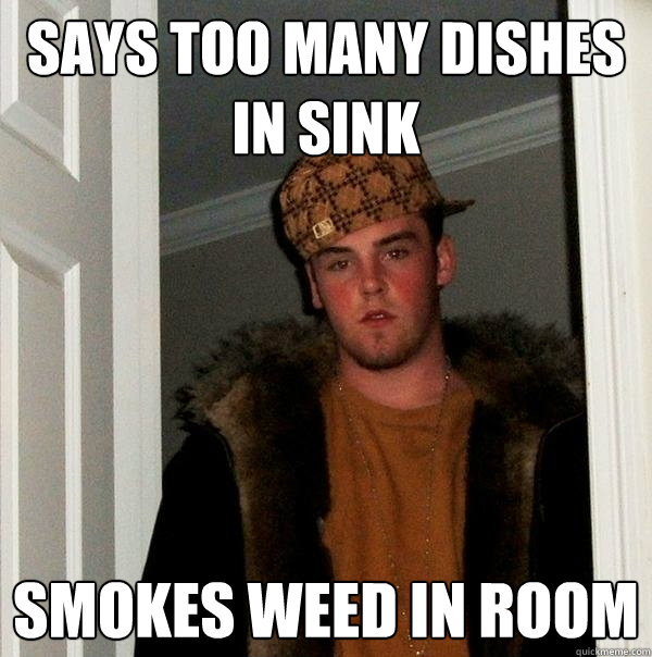 says too many dishes in sink smokes weed in room - says too many dishes in sink smokes weed in room  Scumbag Steve