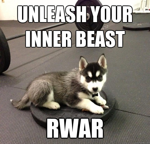 Unleash your
inner beast RWAR  Gym Husky