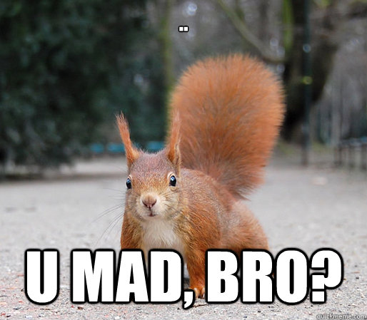 .. U mad, bro?  