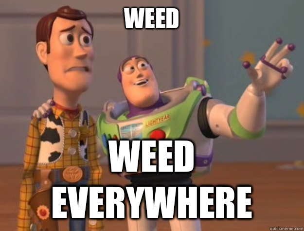 Weed Weed everywhere  Buzz Lightyear