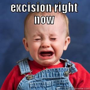 EXCISION RIGHT NOW  Misc