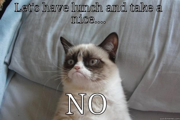 LET'S HAVE LUNCH AND TAKE A NICE.... NO Grumpy Cat