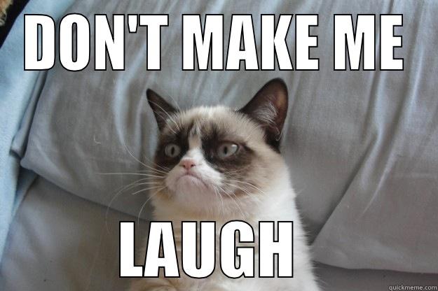 DON'T MAKE ME LAUGH - DON'T MAKE ME LAUGH  Grumpy Cat