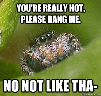 You're really hot, please bang me. no not like tha-  Misunderstood Spider